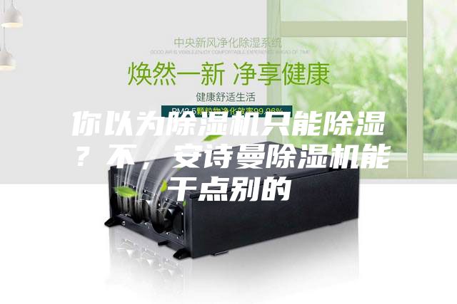 你以為除濕機(jī)只能除濕？不，安詩曼除濕機(jī)能干點(diǎn)別的