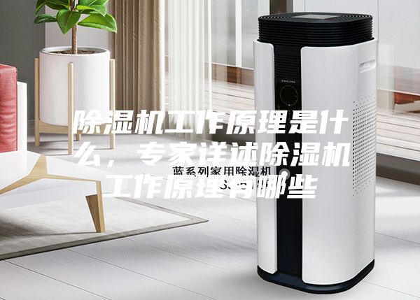 除濕機(jī)工作原理是什么，專家詳述除濕機(jī)工作原理有哪些