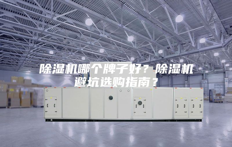 除濕機(jī)哪個牌子好？除濕機(jī)避坑選購指南？