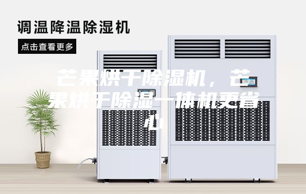 芒果烘干除濕機，芒果烘干除濕一體機更省心