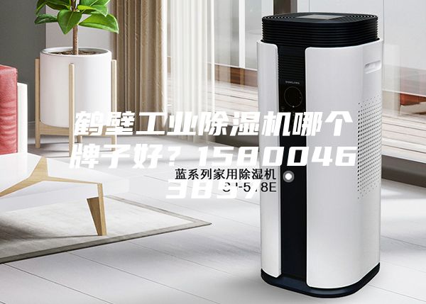 鶴壁工業除濕機哪個牌子好？15800463857