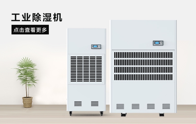 這間熱帶雨林辦公室，不潮濕不下雨還讓員工忘記了在工作