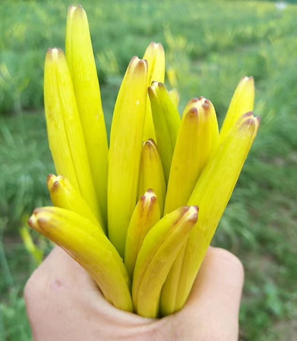 1525656113241377.jpg 1.jpg