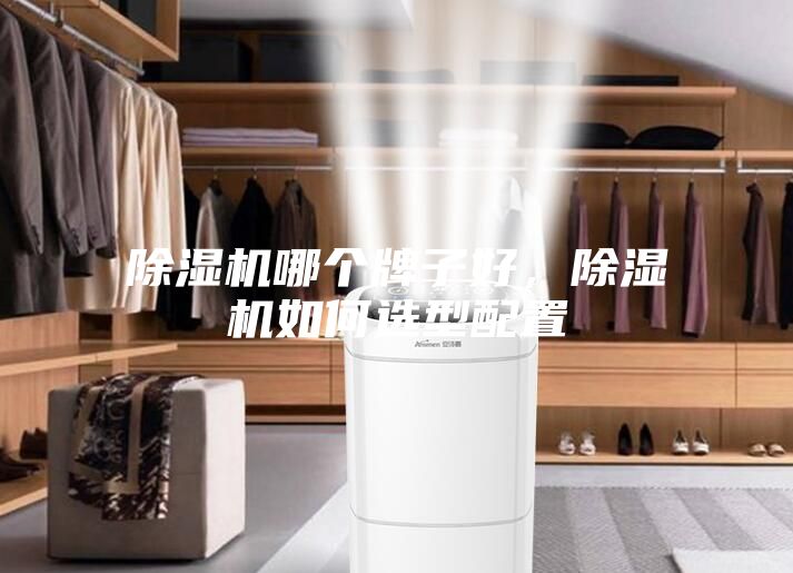 除濕機哪個牌子好，除濕機如何選型配置