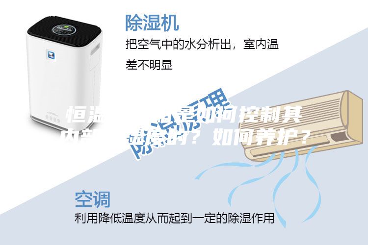 恒溫恒濕箱是如何控制其內部溫濕度的？如何養護？