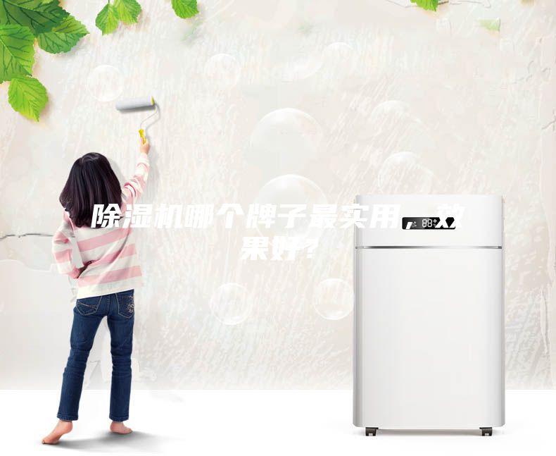 除濕機哪個牌子最實用，效果好？