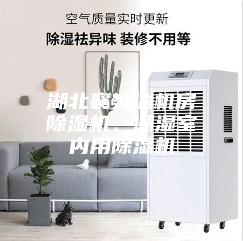 湖北襄樊油機房除濕機，潮濕室內用除濕機