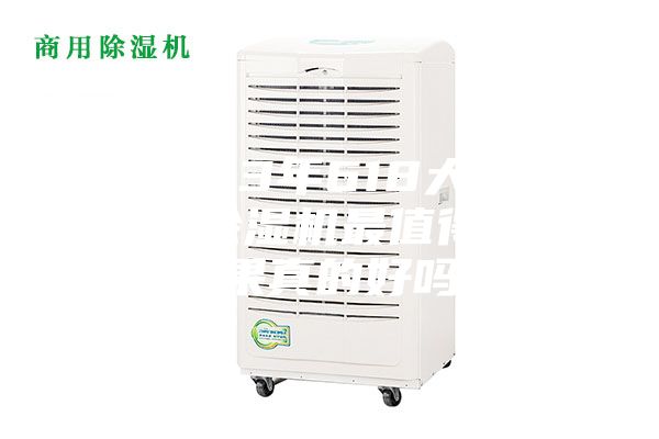2023年618大促，哪款除濕機最值得買？效果真的好嗎？