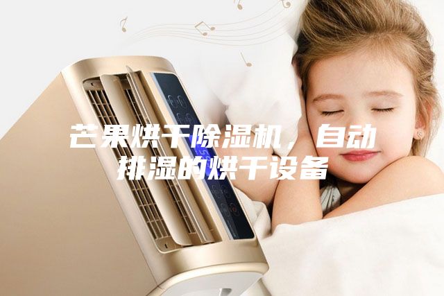芒果烘干除濕機，自動排濕的烘干設備
