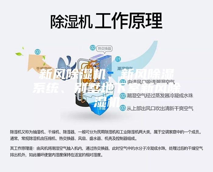 新風(fēng)除濕機(jī)、新風(fēng)除濕系統(tǒng)、別墅地下室新風(fēng)除濕機(jī)