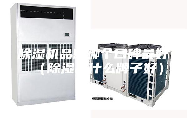 除濕機品牌哪個口碑最好(除濕機什么牌子好)