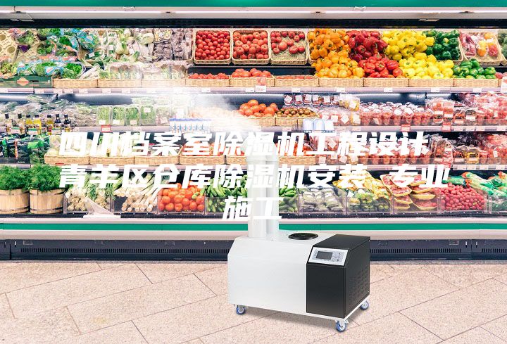 四川檔案室除濕機(jī)工程設(shè)計(jì) 青羊區(qū)倉(cāng)庫(kù)除濕機(jī)安裝 專(zhuān)業(yè)施工