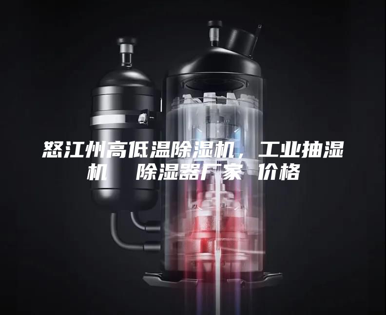 怒江州高低溫除濕機，工業抽濕機  除濕器廠家 價格