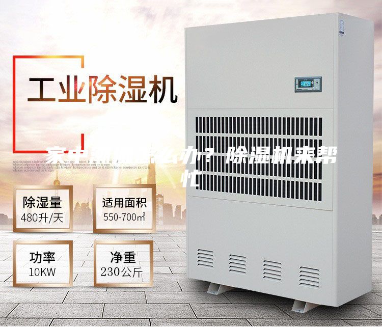 家中潮濕怎么辦?除濕機來幫忙