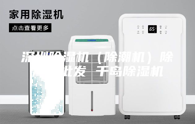 深圳除濕機(除潮機)除濕機批發(fā) 千島除濕機