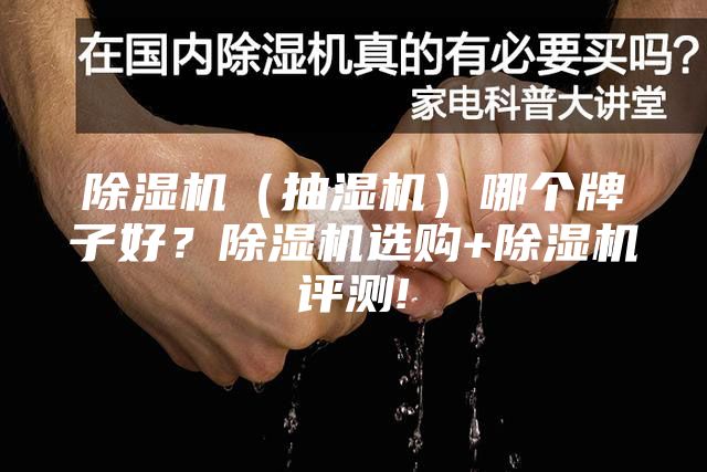 除濕機(jī)（抽濕機(jī)）哪個(gè)牌子好？除濕機(jī)選購(gòu)+除濕機(jī)評(píng)測(cè)!
