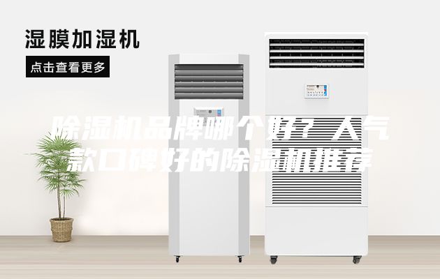 除濕機品牌哪個好？人氣款口碑好的除濕機推薦