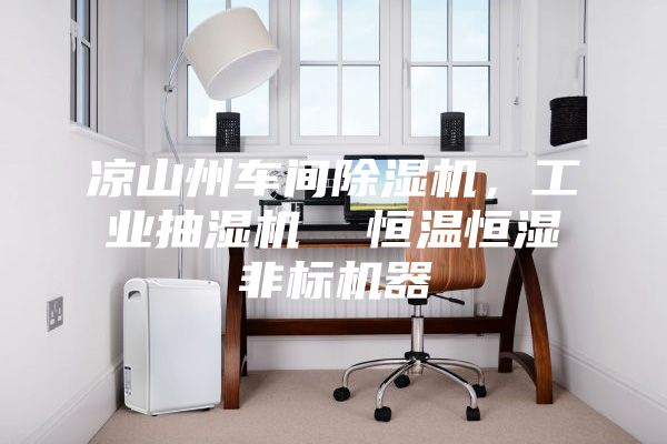 涼山州車間除濕機，工業(yè)抽濕機  恒溫恒濕非標(biāo)機器