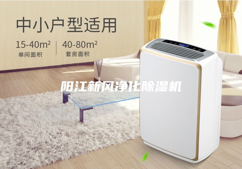 陽江新風(fēng)凈化除濕機(jī)