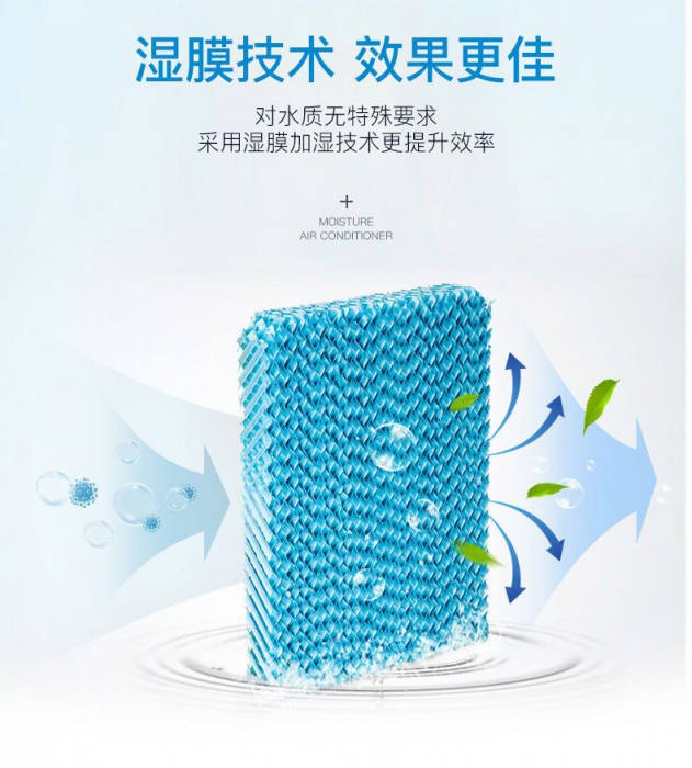 春天潮濕，教你家居防霉妙法