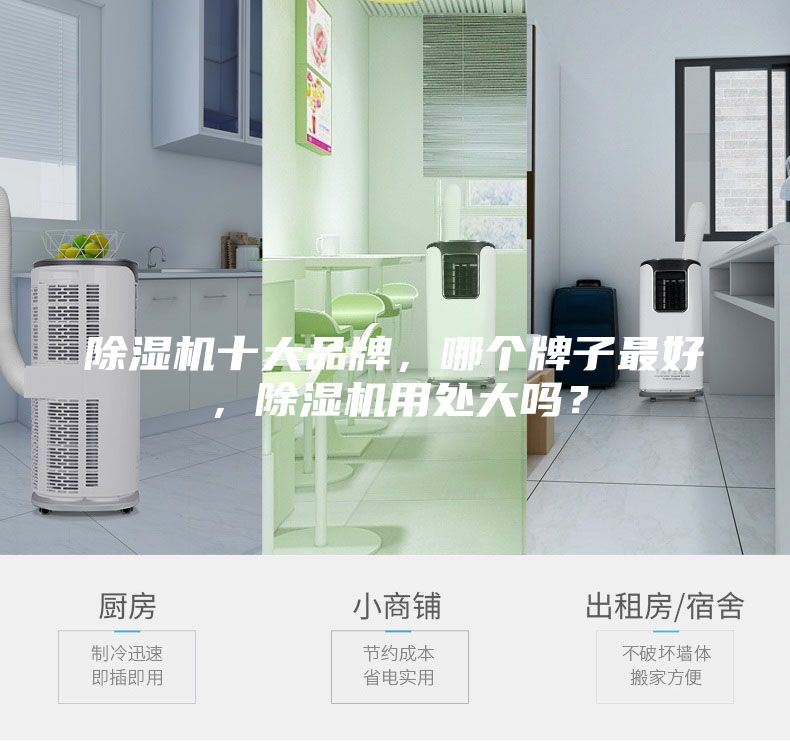 除濕機(jī)十大品牌,哪個(gè)牌子最好,除濕機(jī)用處大嗎?