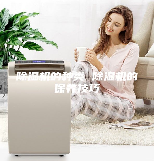 除濕機的種類 除濕機的保養技巧