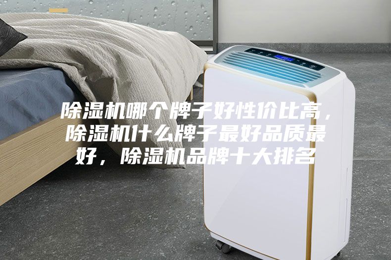 除濕機哪個牌子好性價比高，除濕機什么牌子最好品質最好，除濕機品牌十大排名
