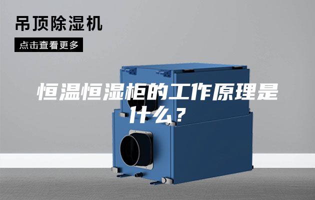 恒溫恒濕柜的工作原理是什么?