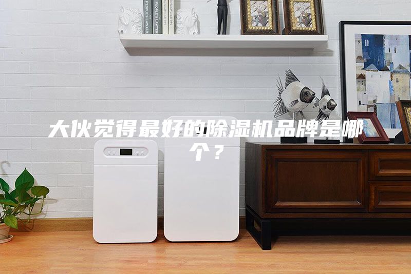 大伙覺得最好的除濕機品牌是哪個?