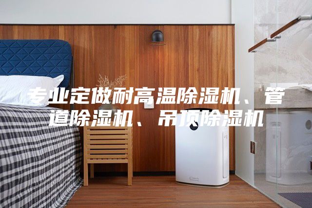 專業定做耐高溫除濕機、管道除濕機、吊頂除濕機