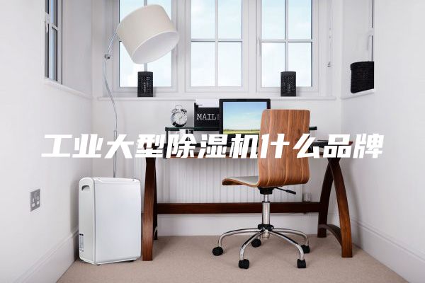工業(yè)大型除濕機(jī)什么品牌