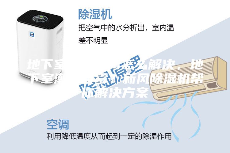 地下室潮濕發(fā)霉怎么解決,地下室潮濕發(fā)霉?新風(fēng)除濕機幫你解決方案