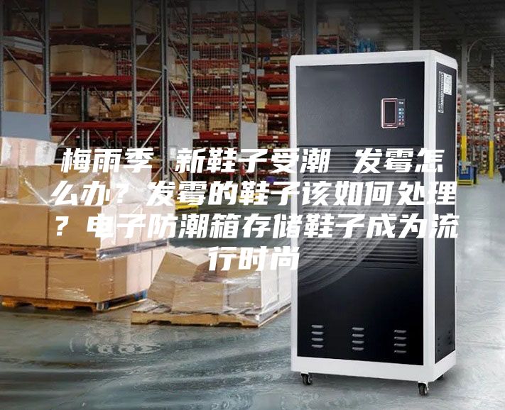 梅雨季 新鞋子受潮 發霉怎么辦?發霉的鞋子該如何處理?電子防潮箱存儲鞋子成為流行時尚