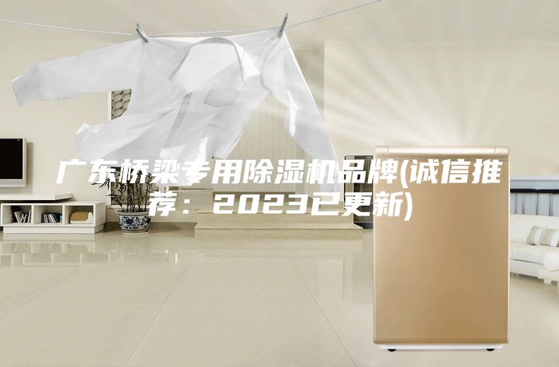 廣東橋梁專(zhuān)用除濕機(jī)品牌(誠(chéng)信推薦:2023已更新)