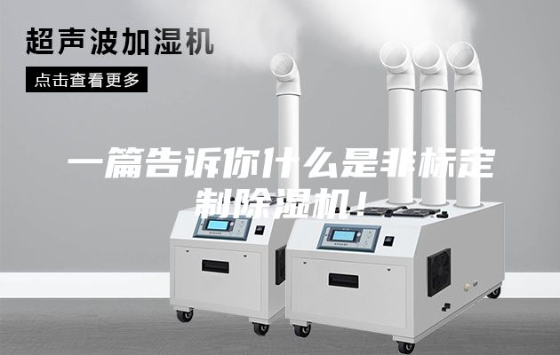 一篇告訴你什么是非標定制除濕機!
