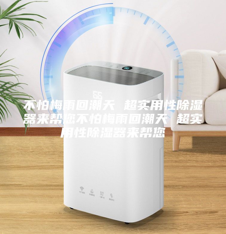 不怕梅雨回潮天 超實用性除濕器來幫您不怕梅雨回潮天 超實用性除濕器來幫您