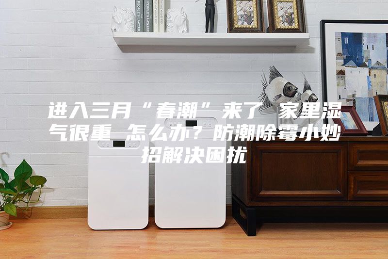 進(jìn)入三月“春潮”來(lái)了 家里濕氣很重 怎么辦?防潮除霉小妙招解決困擾