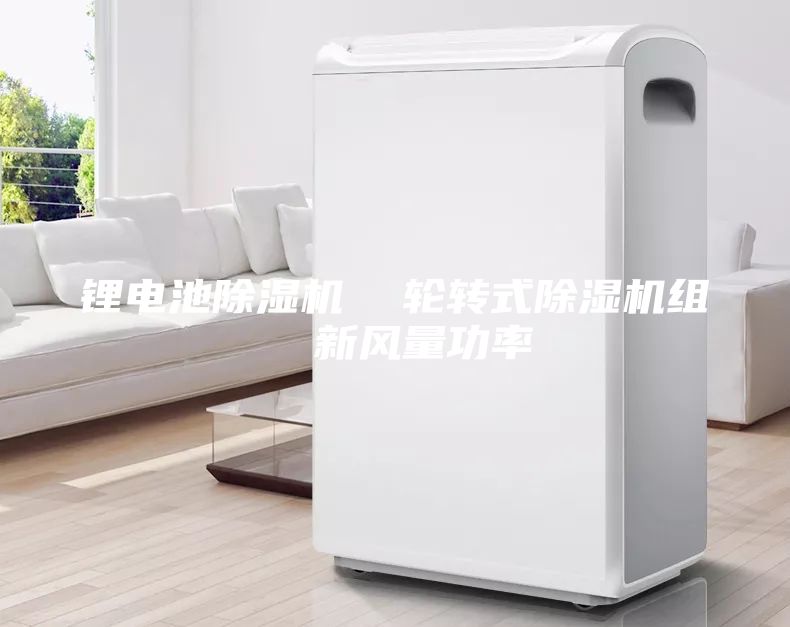 鋰電池除濕機(jī) 輪轉(zhuǎn)式除濕機(jī)組 新風(fēng)量功率