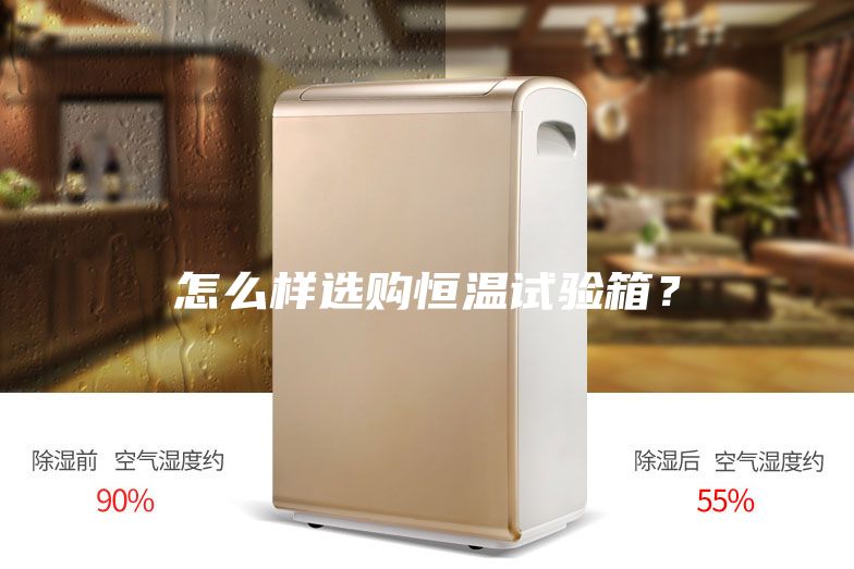 怎么樣選購恒溫試驗箱？