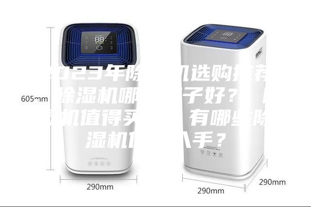 2023年除濕機選購推薦:除濕機哪個牌子好? 除濕機值得買嗎?有哪些除濕機值得入手?