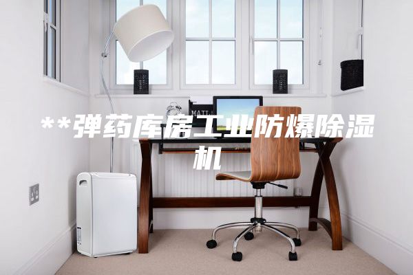 **彈藥庫房工業(yè)防爆除濕機