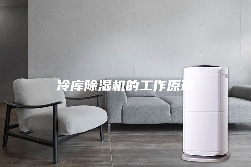 冷庫(kù)除濕機(jī)的工作原理