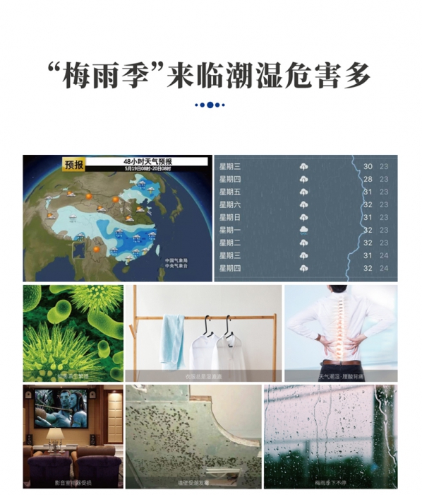 果脯烘干除濕機(jī),果脯蜜餞烘干除濕一體機(jī)