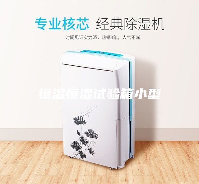 恒溫恒濕試驗箱小型