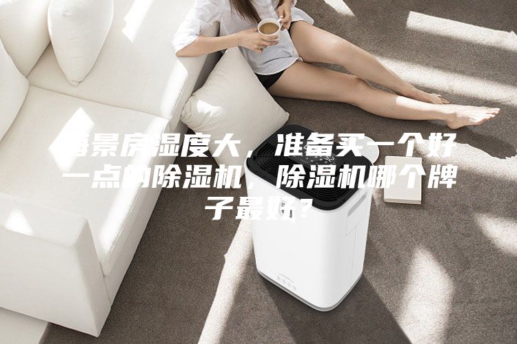 海景房濕度大，準(zhǔn)備買一個(gè)好一點(diǎn)的除濕機(jī)，除濕機(jī)哪個(gè)牌子最好？