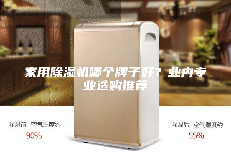 家用除濕機(jī)哪個(gè)牌子好？業(yè)內(nèi)專業(yè)選購(gòu)?fù)扑]
