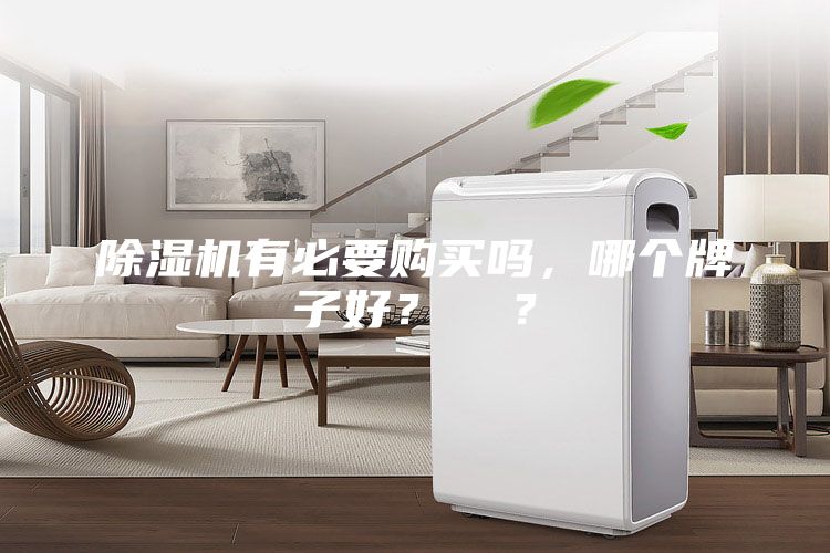 除濕機(jī)有必要購(gòu)買嗎，哪個(gè)牌子好？  ？