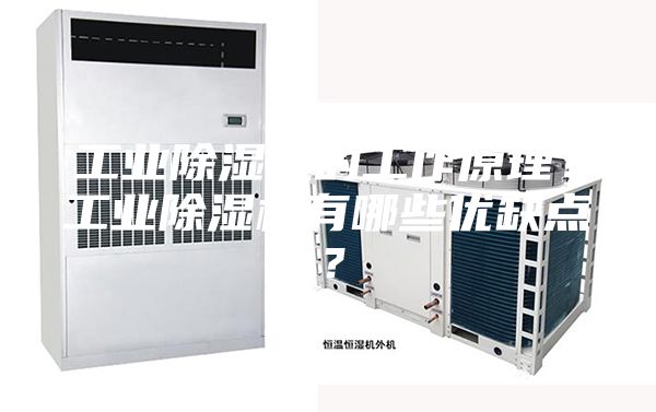 工業除濕機的工作原理？工業除濕機有哪些優缺點？