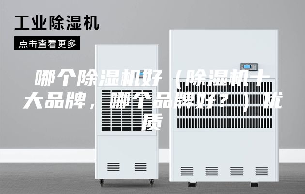 哪個除濕機好(除濕機十大品牌,哪個品牌好?)優(yōu)質(zhì)