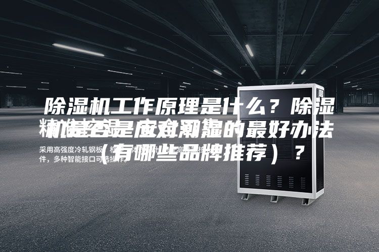 除濕機工作原理是什么？除濕機是否是應對潮濕的最好辦法（有哪些品牌推薦）？